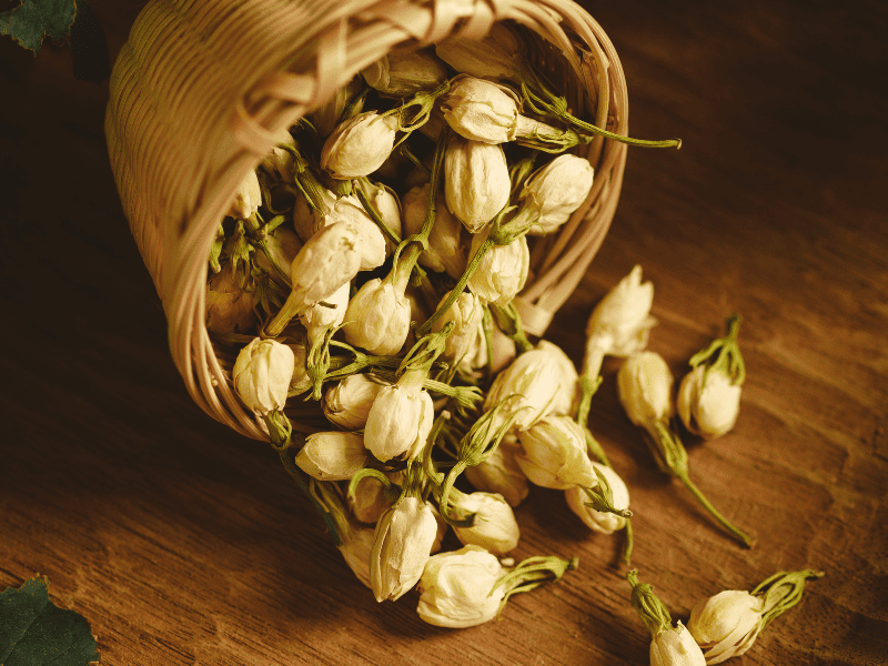 中医美容护肤古方秘方，传承与创新的美丽之道插图