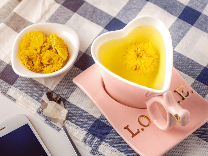 女生美容养颜饮品，从天然成分到现代营养的完美结合插图