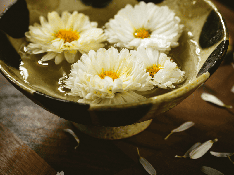 美白抗氧化护肤品排行榜，如何选择适合自己的护肤方案插图