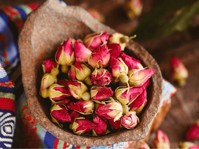 中医学美容与康复方向，传统智慧与现代科技的结合插图